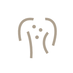 Skin-friendly icon for LCHEER false eyelashes—hypoallergenic PBT fibers and safe adhesive for sensitive eyes