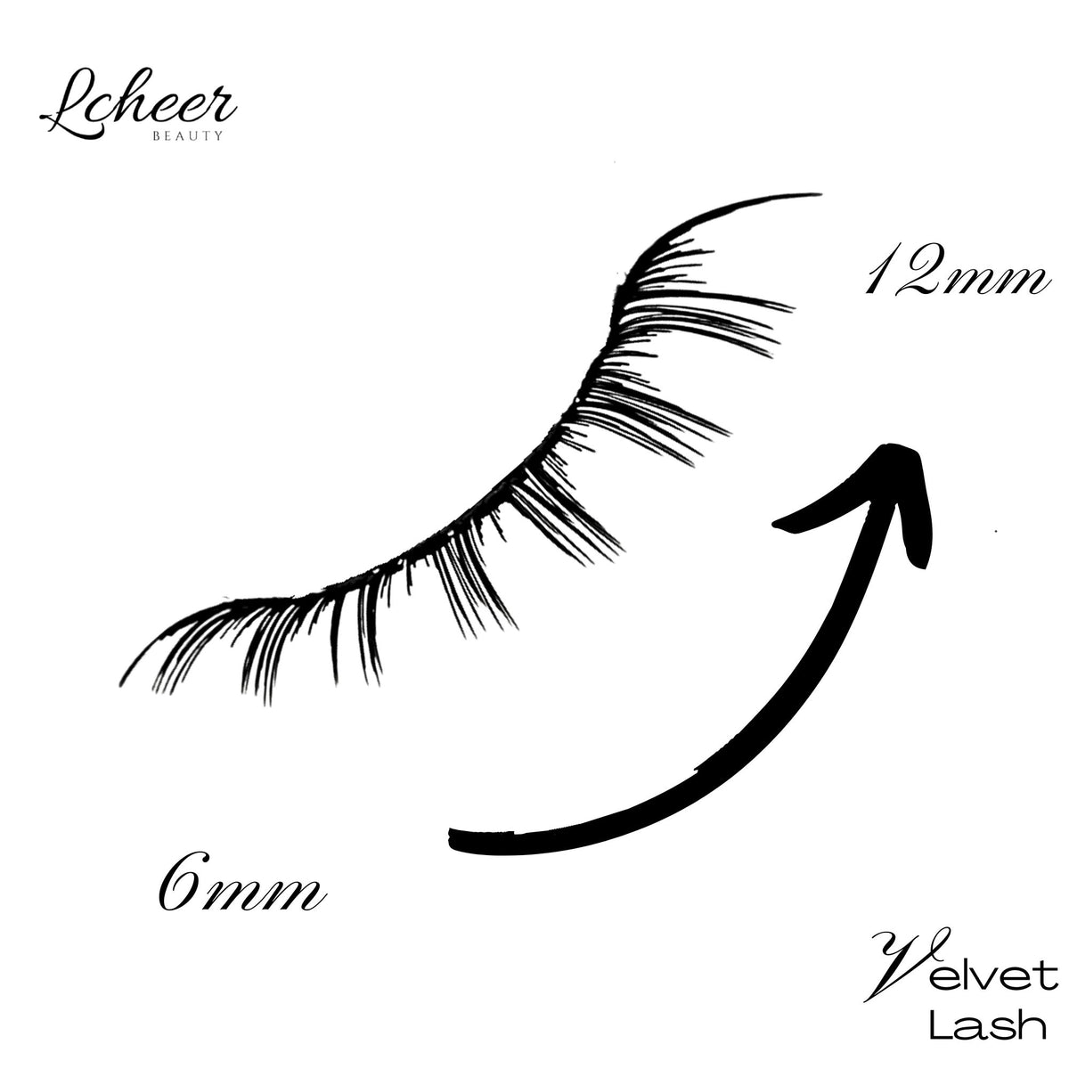 Diagram of Velvet natural strip lashes featuring a graduated 6mm to 12mm wispy design
